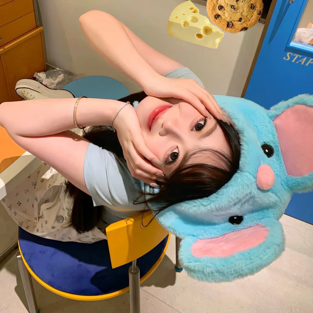 爱丽丝的失踪